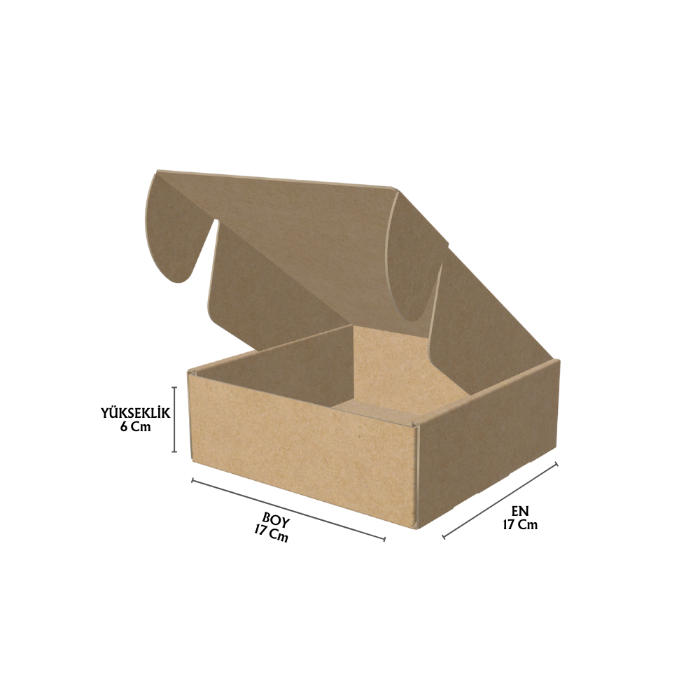 17x17x6 cm Kilitli E-Ticaret Kargo Kutusu