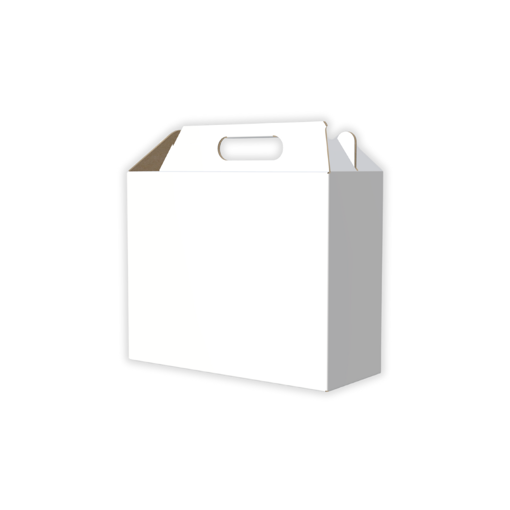 25x10x20 cm Çanta Tipi İnternet ve Kargo Kutusu
